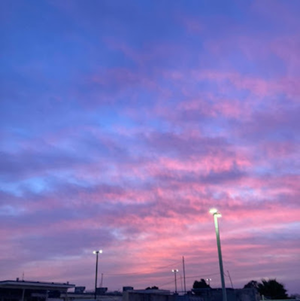 Meet your Posher, Diana